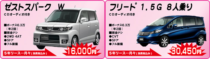 ゼスト&フリード
